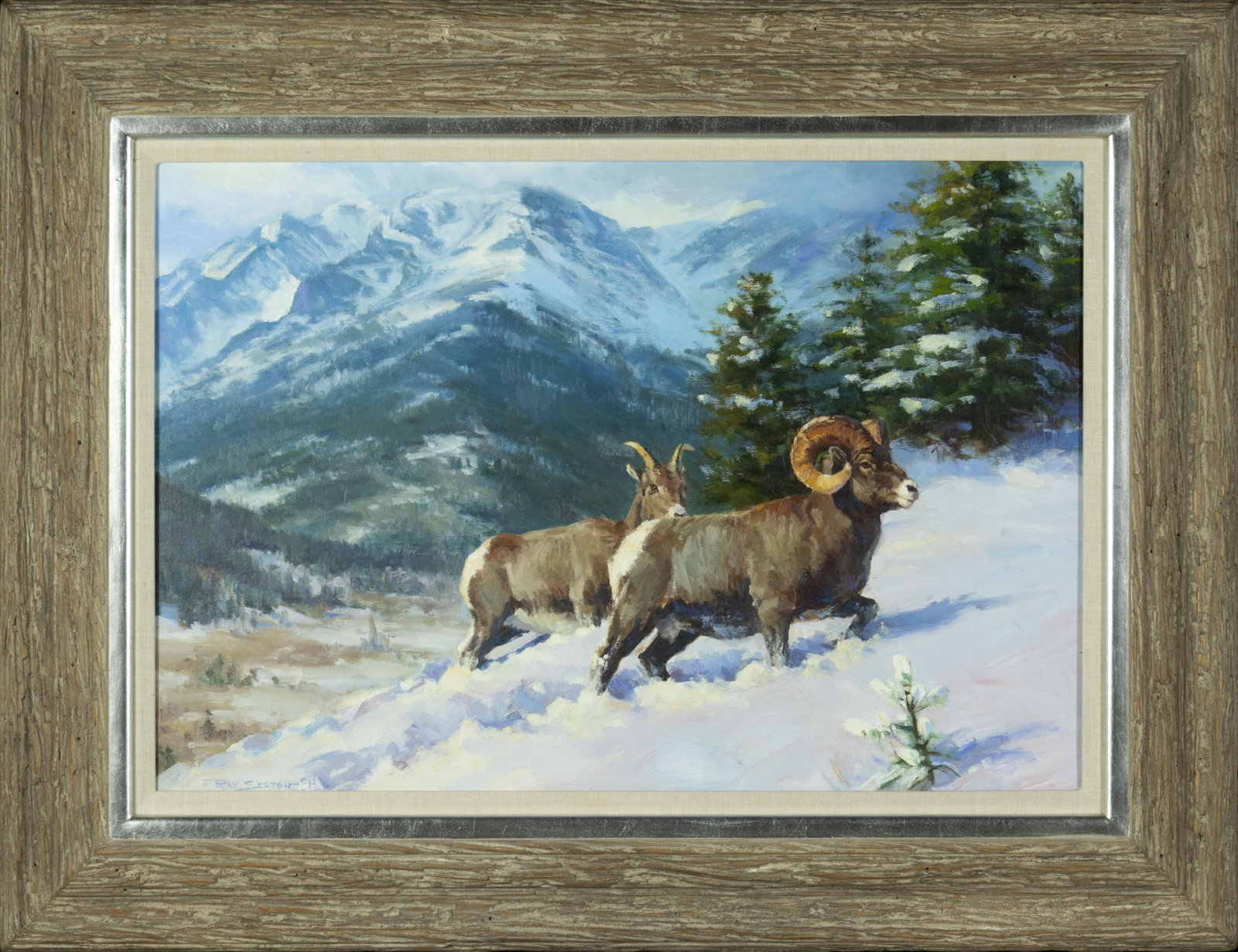 Ray Sexton, Deep Snow Rams, 1992 - 2