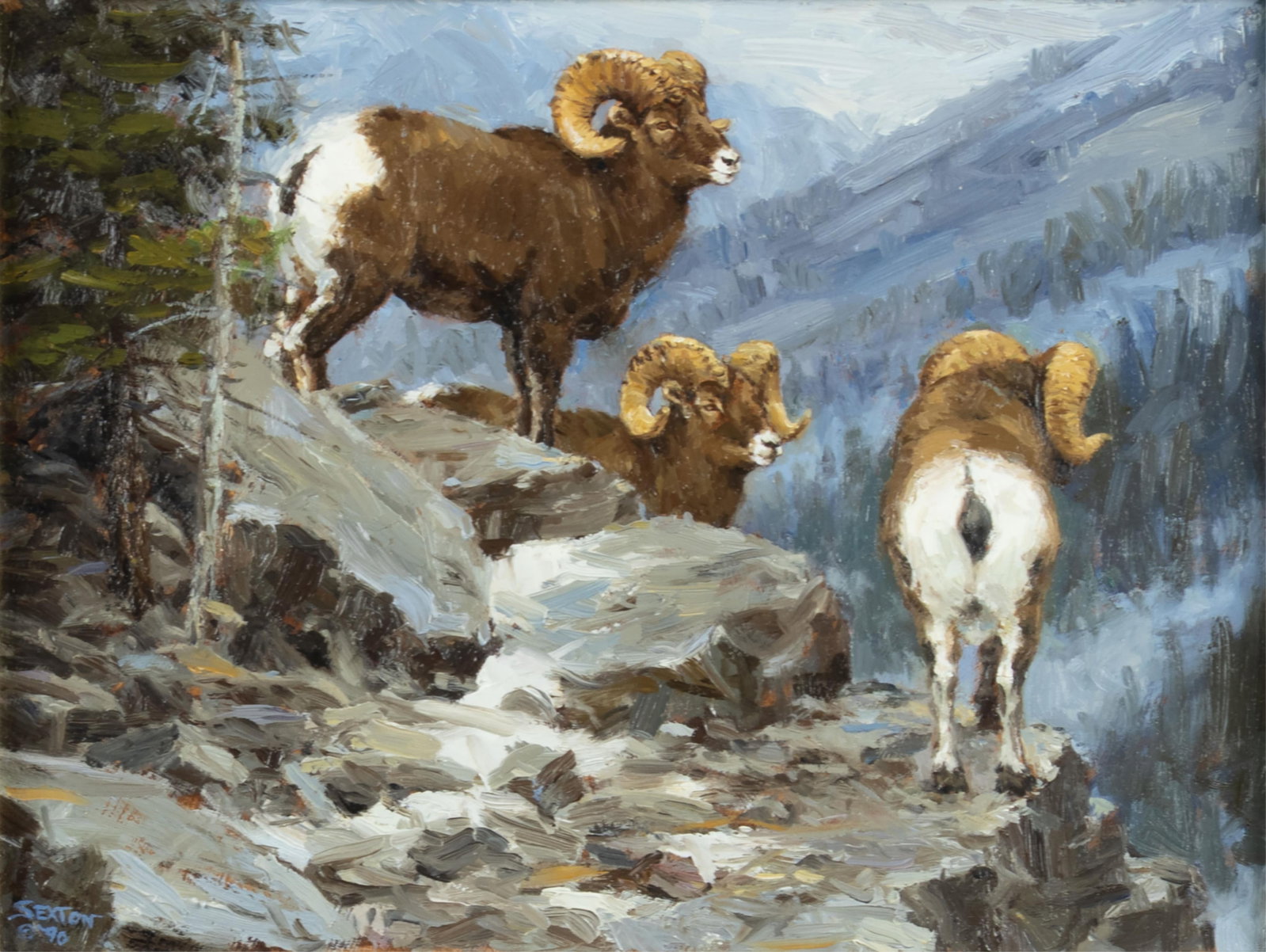 Ray Sexton, Bighorn Sheep, 1990: Ray Sexton 1959-1996 Bighorn Sheep, 1990 oil on board signed and dated lower left: SEXTON © 90 10 x 13 in, Frame: 17 1/8 x 20 x 2 5/8 in. Provenance: Astoria Fine Art, Jackson Hole, WY (label