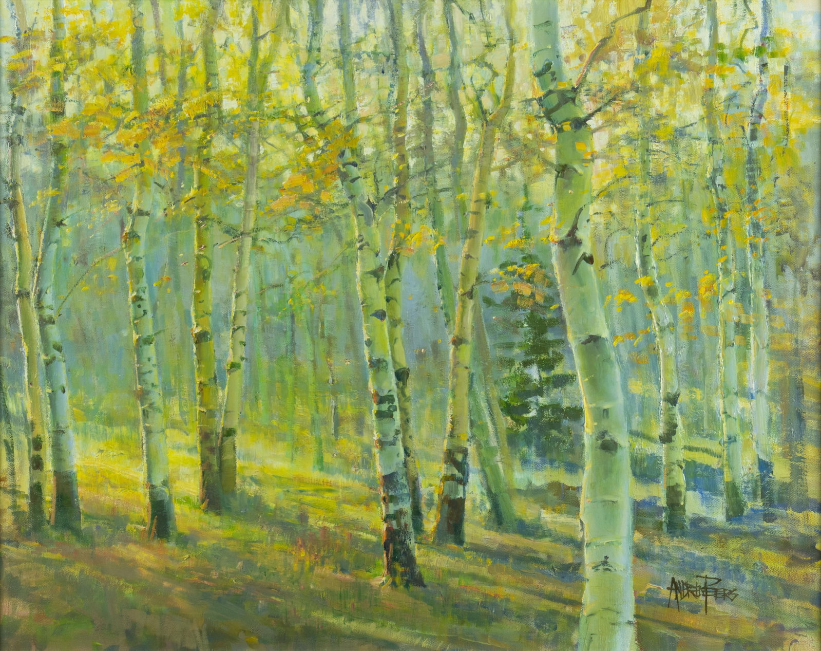 Andrew Peters, Aspens in the Bighorn Mountains (1 of 3)