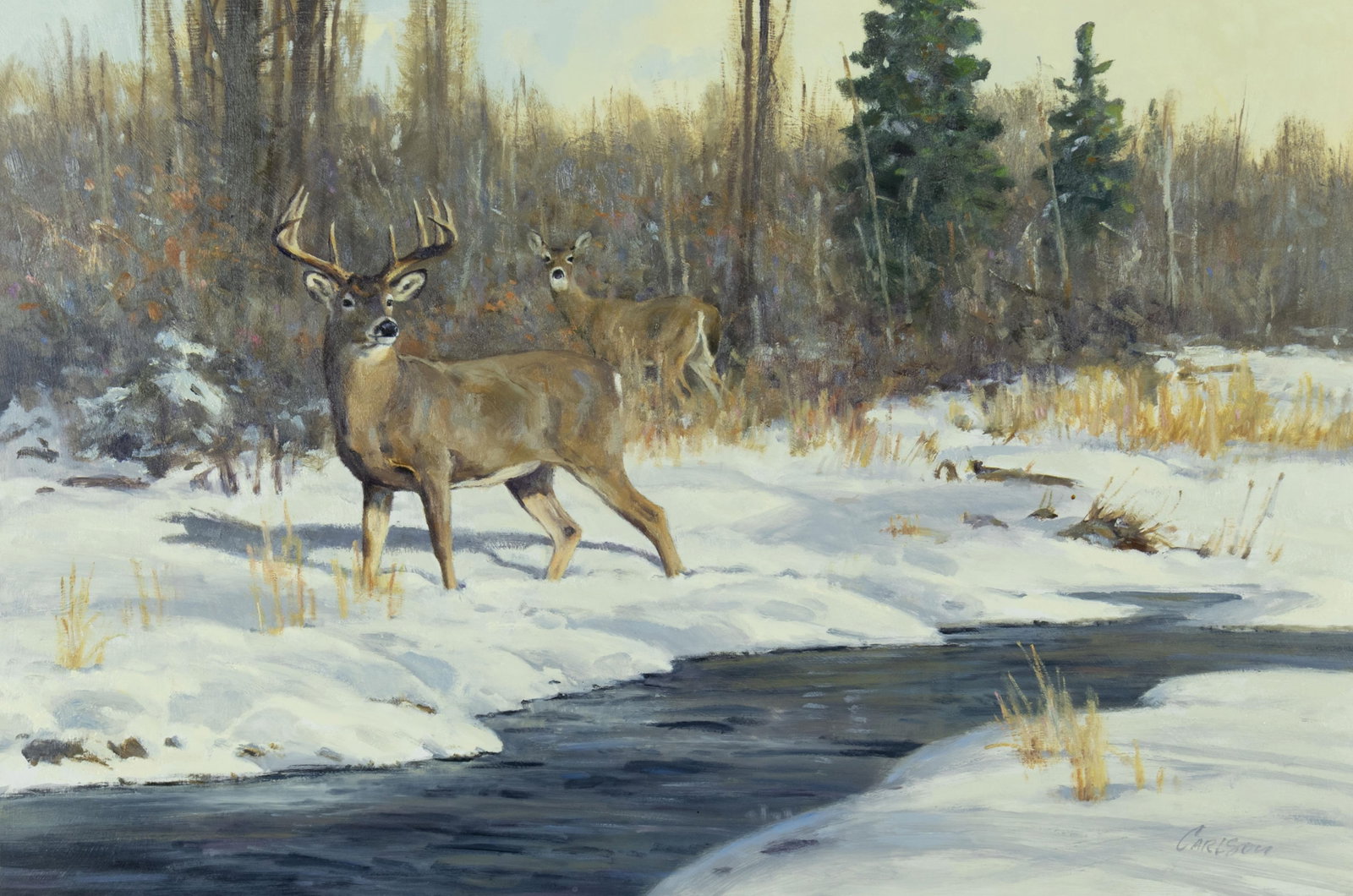 Ken Carlson, Winter Creek - Whitetails: Ken Carlson b.1937 Winter Creek - Whitetails oil on board signed lower right: CARLSON 20 x 30 in., Frame: 27 1/4 x 37 1/4 x 2 1/4 in. Provenance: Scottsdale Art Auction, April 2013, Lot 196 (label