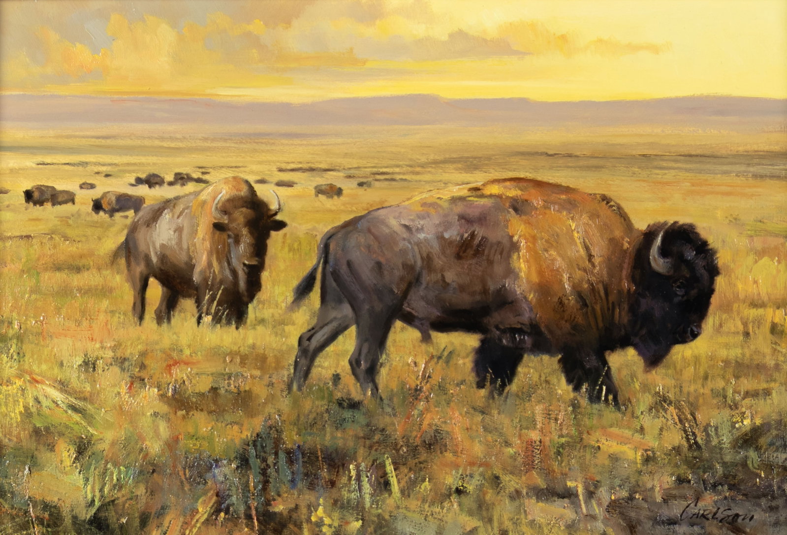 Ken Carlson, Bison (1 of 3)