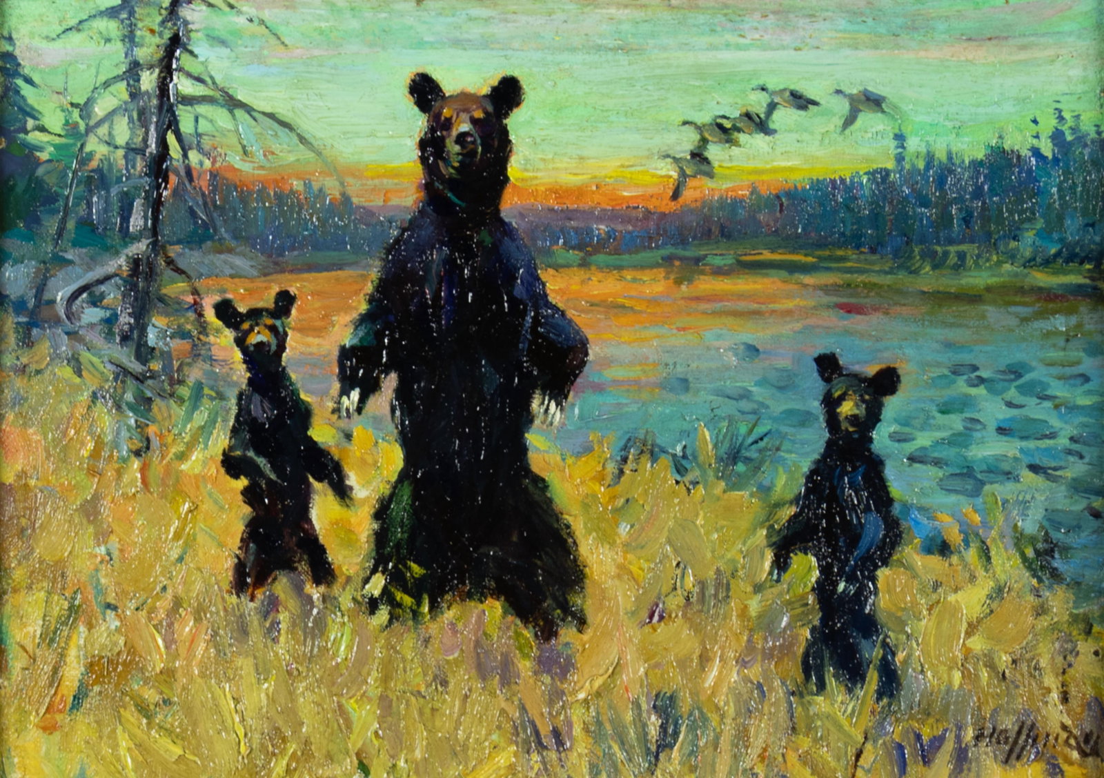 Frank B. Hoffman, Three Bears (1 of 3)