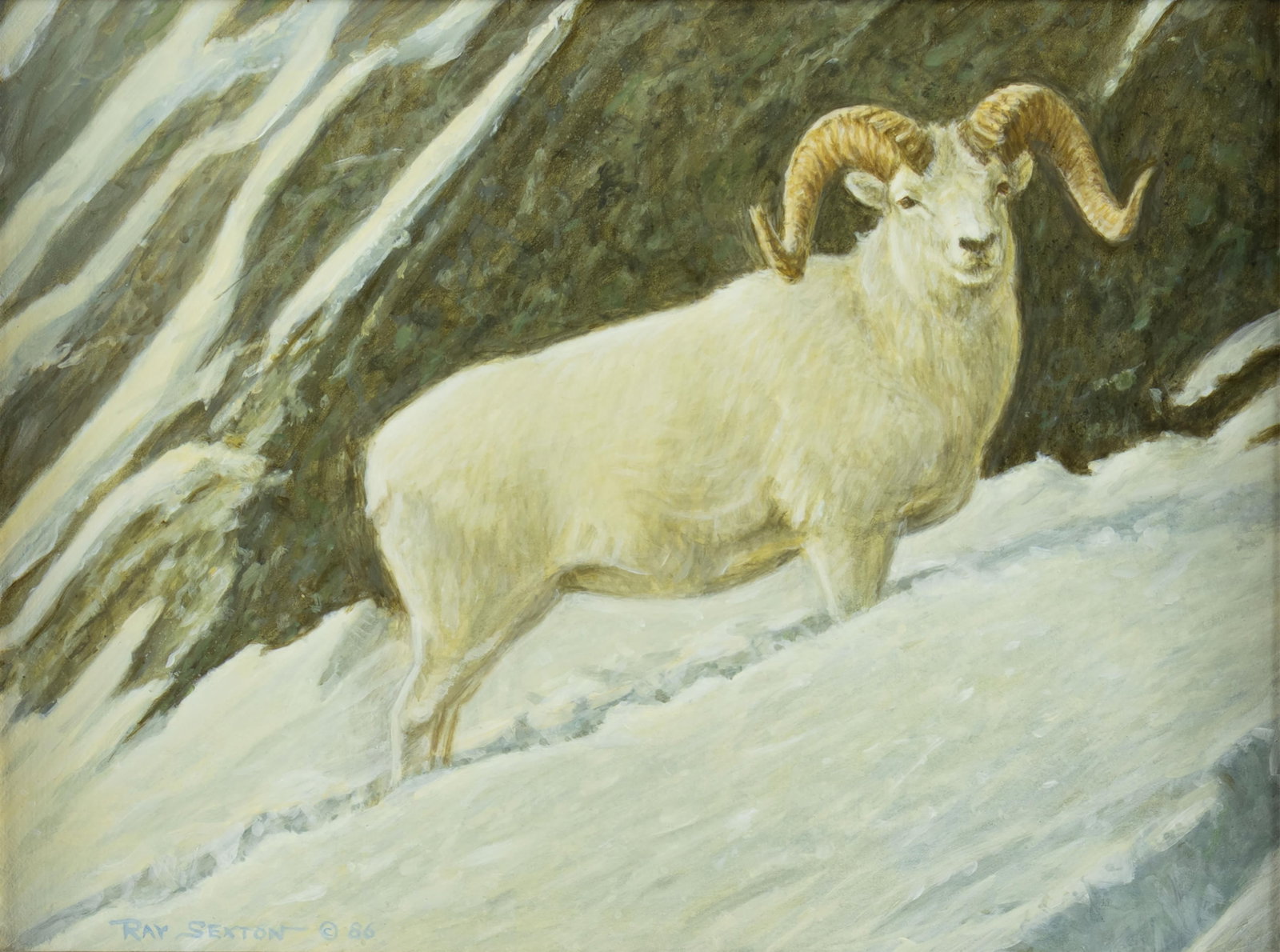 Ray Sexton, Dall Sheep, 1986: Ray Sexton 1959-1996 Dall Sheep, 1986 oil on panel signed and dated lower left: RAY SEXTON © 86 9 x 12 in., Frame: 14 5/8 x 17 5/8 x 1 3/4 in. Provenance: From a Private Collection