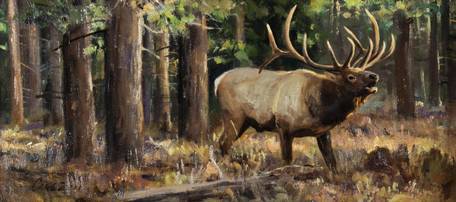 Ken Carlson, Bugling Elk: Ken Carlson b.1937 Bugling Elk oil on board signed lower left: CARLSON 8 x 16 in., Frame: 15 1/8 x 23 1/4 x 2 in. Provenance: From the Collection of Curtice and Bob McCloy