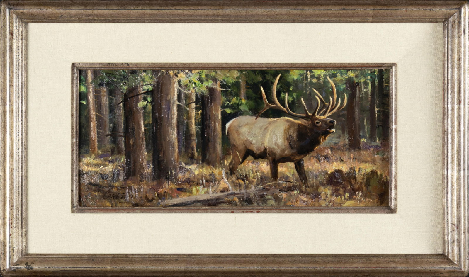 Ken Carlson, Bugling Elk - 2