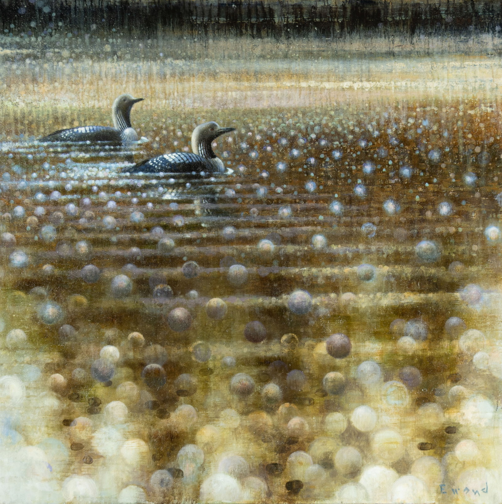 Ewoud de Groot, Loons: Ewoud de Groot b.1969 Loons oil on canvas signed lower right: Ewoud 43 1/4 x 43 1/4 in., Frame: 45 3/4 x 45 5/8 x 1 1/2 in. Provenance: Private Collection, Jackson, WY