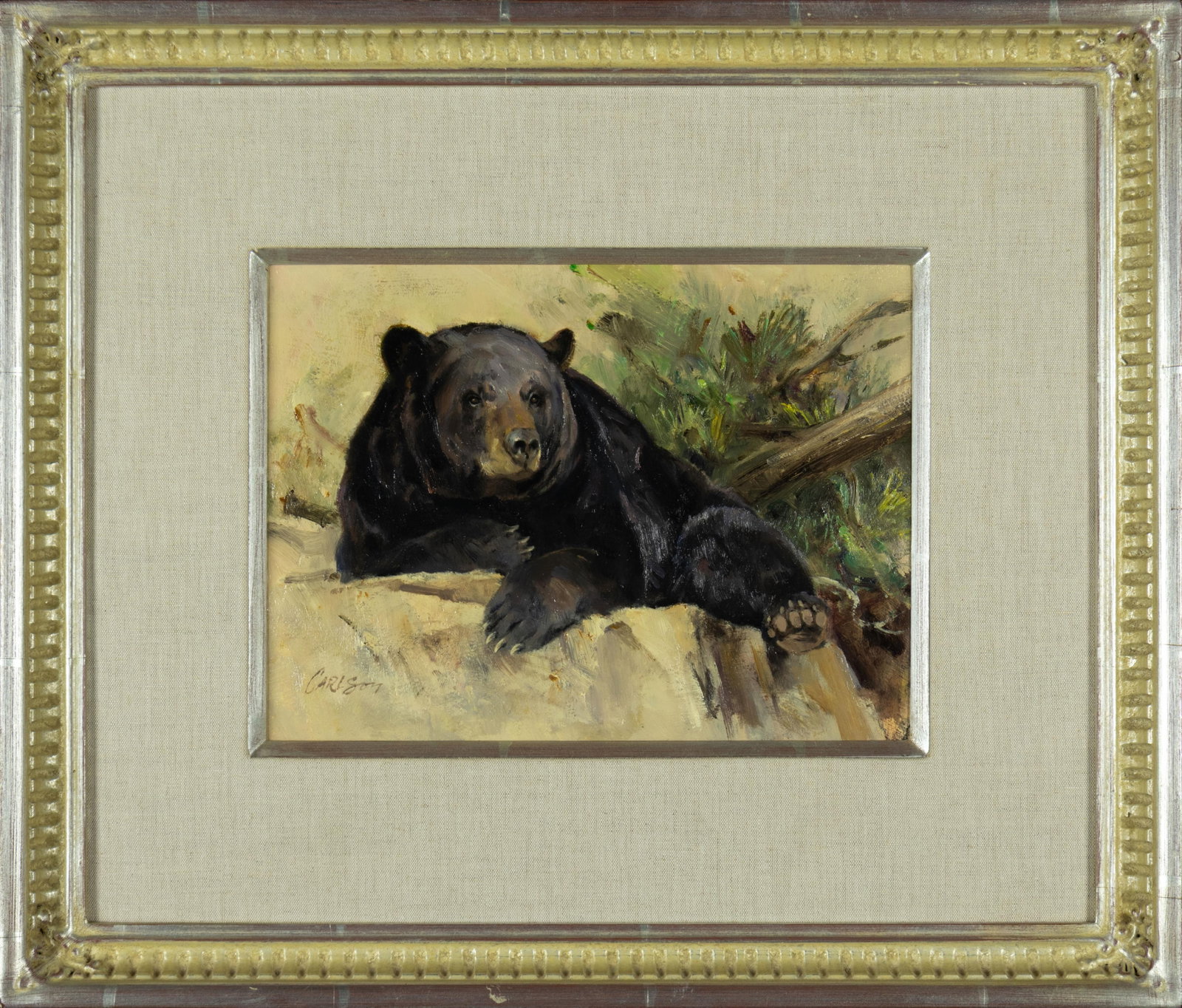 Ken Carlson, Black Bear - 2