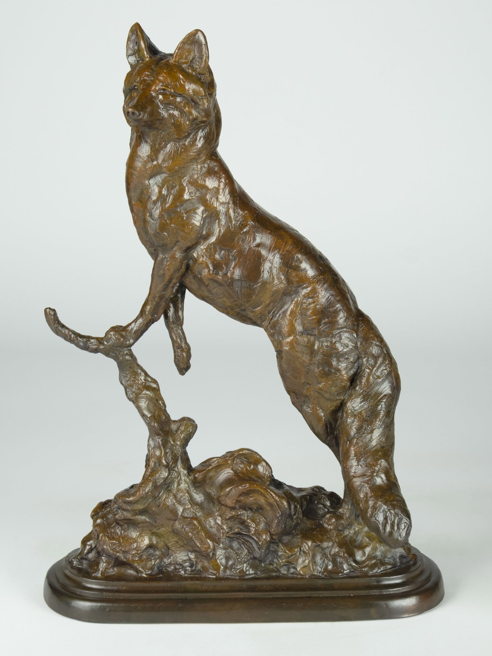 Tim Shinabarger, Curious: Tim Shinabarger b.1966 Curious bronze, edition 35 of 35 inscribed: 35/35 © Shinabarger 18 5/8 x 12 1/2 x 6 1/2 in. Provenance: From a Private Collection