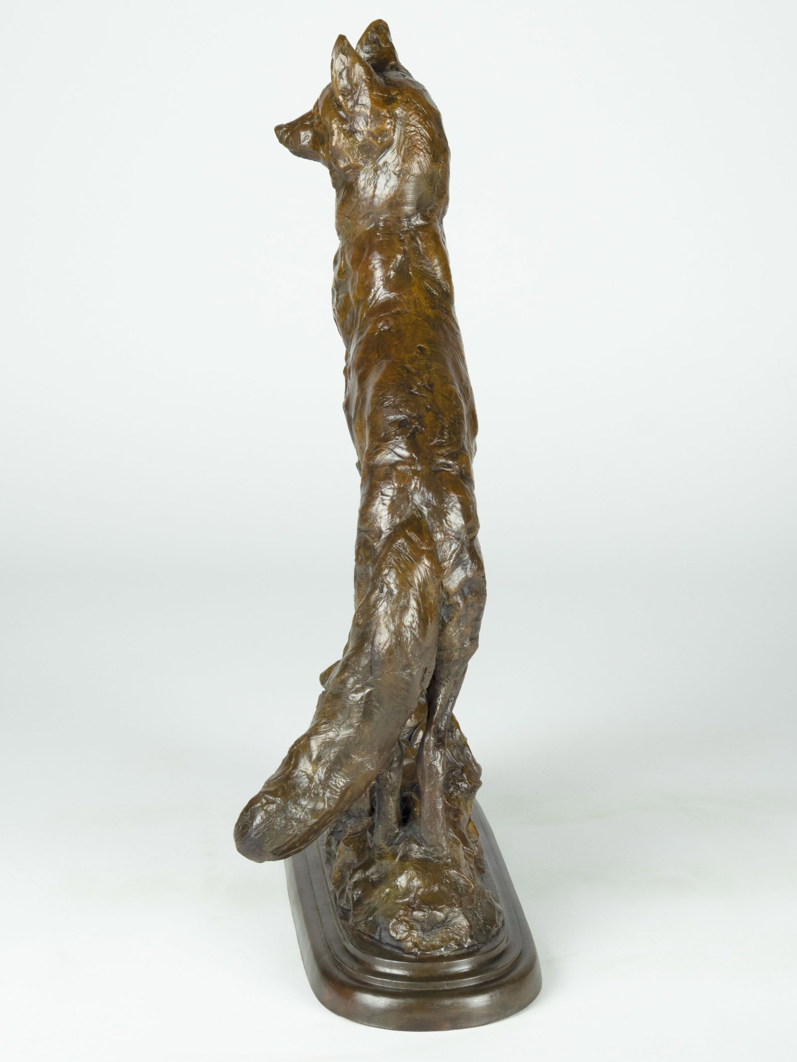 Tim Shinabarger, Curious - 2
