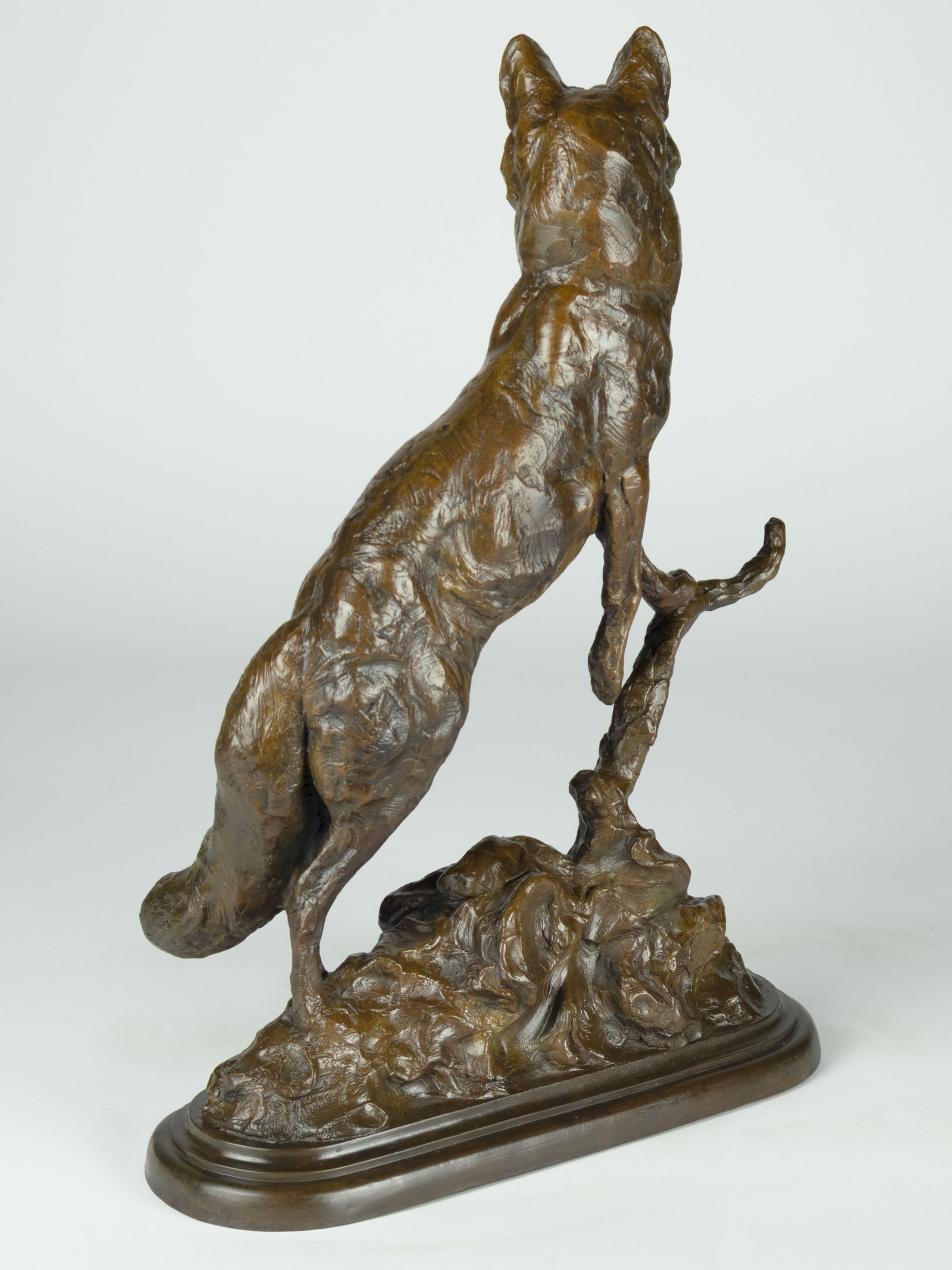 Tim Shinabarger, Curious - 3