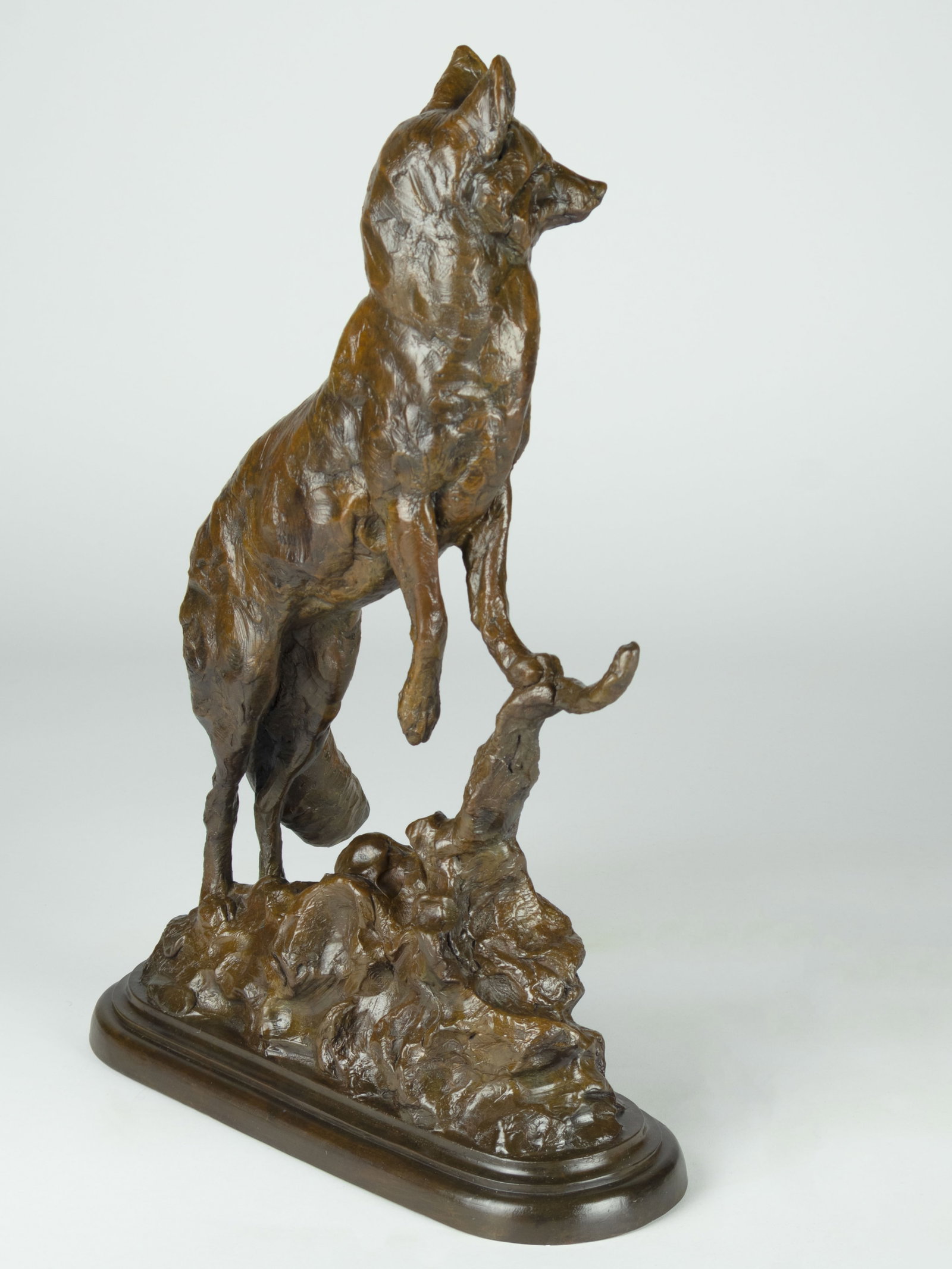 Tim Shinabarger, Curious - 4