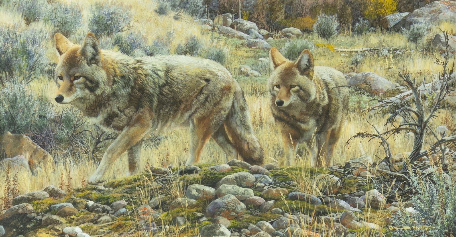 Carl Brenders, Two Amigos - Coyotes, 2001: Carl Brenders b.1937 Two Amigos - Coyotes, 2001 mixed media on paper signed and dated lower right: © CBrenders 01 8 x 15 in., Frame: 18 1/4 x 25 x 1 1/4 in. Provenance: National Museum of W