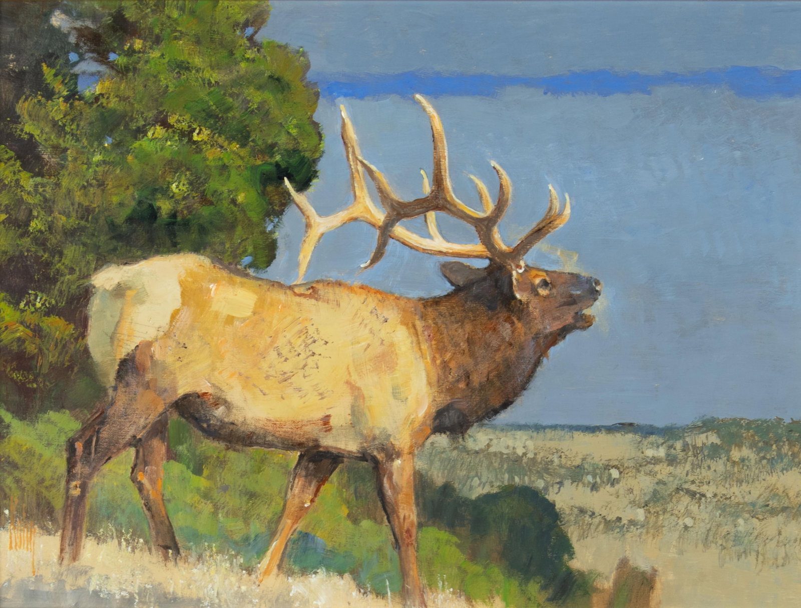 Bob Kuhn, Bugling Elk: Bob Kuhn 1920-2007 Bugling Elk acrylic on board signed lower left: Kuhn 9 x 12 in., Frame: 14 1/2 x 17 1/2 x 2 1/2 in. Provenance: The Artist James Codding, Santa Rosa, California Private Collection,