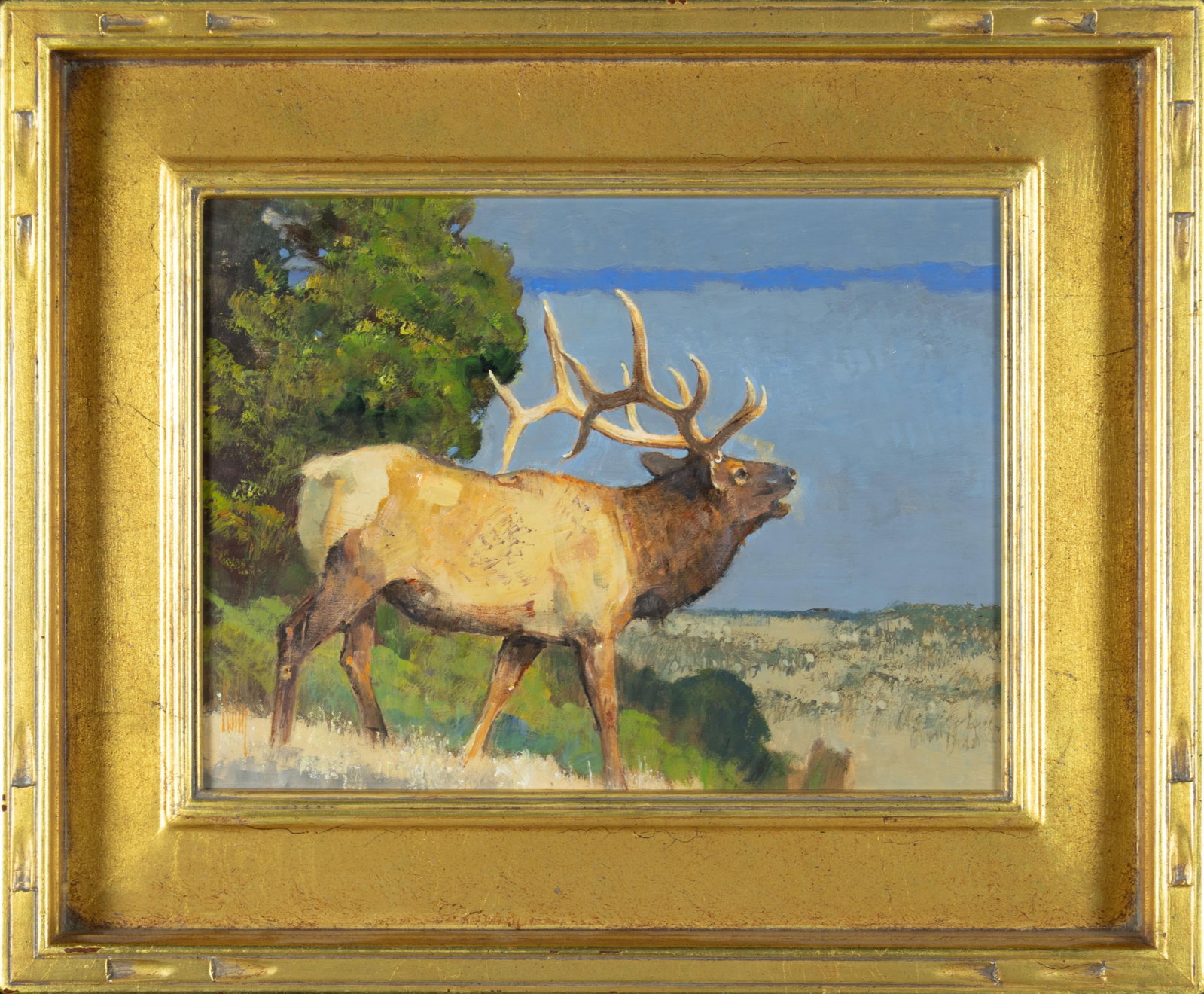 Bob Kuhn, Bugling Elk - 2