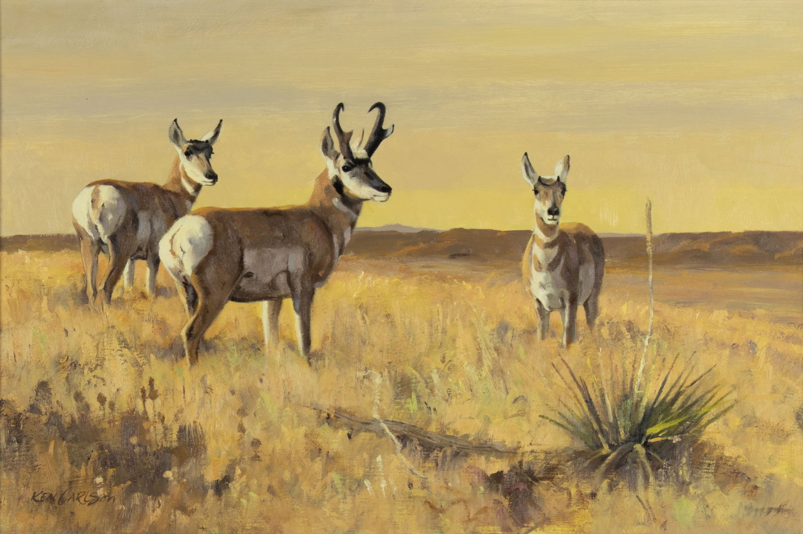 Ken Carlson, Pronghorn on Alert: Ken Carlson b.1937 Pronghorn on Alert oil on board signed lower left: KEN CARLSON 12 x 18 in., Frame: 19 3/4 x 25 3/4 x 2 in. Provenance: From the Collection of Curtice and Bob McCloy