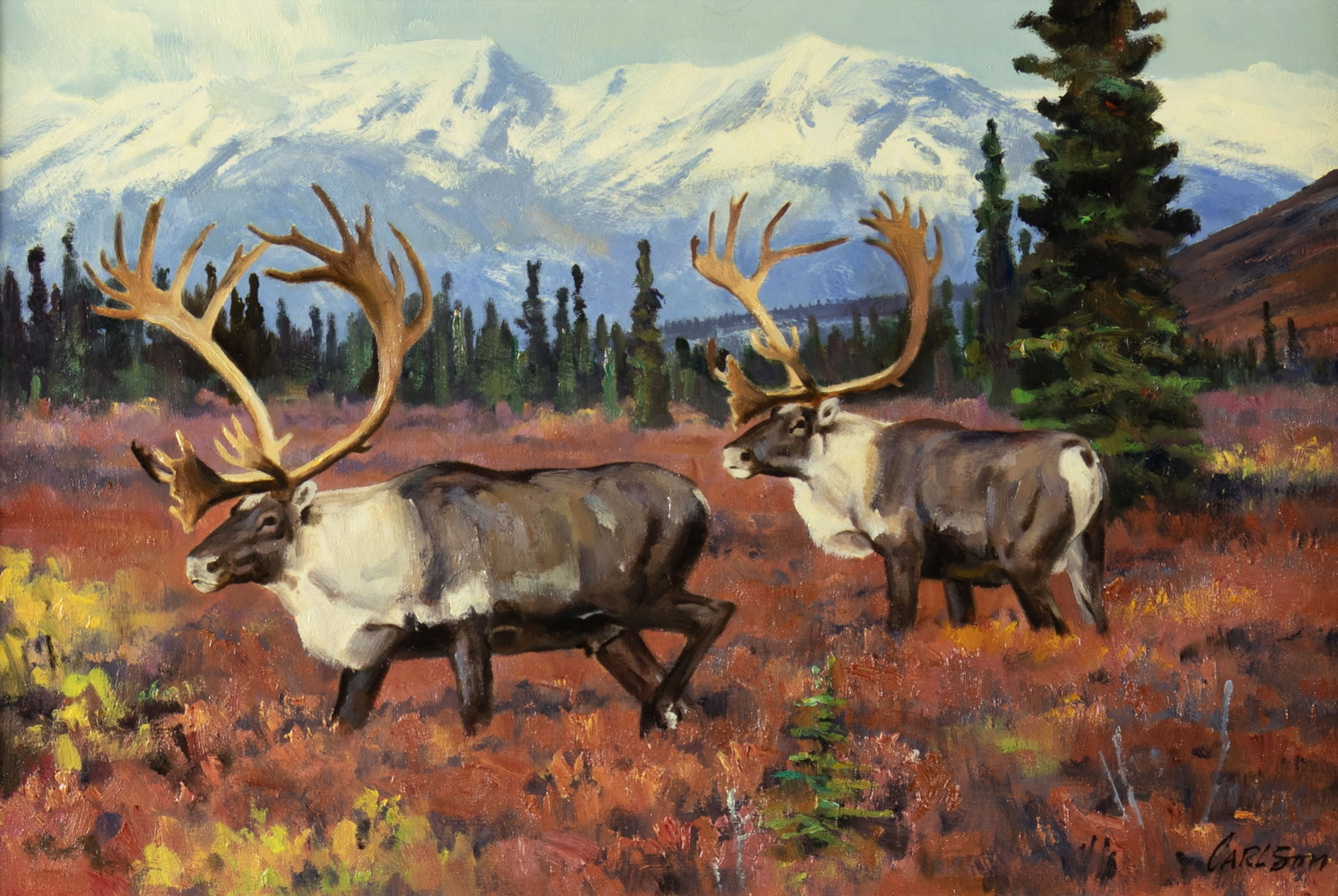 Ken Carlson, Caribou: Ken Carlson b.1937 Caribou oil on board signed lower right: CARLSON 12 x 18 in., Frame: 18 3/4 x 24 3/4 x 2 in. Provenance: From a Private Collection