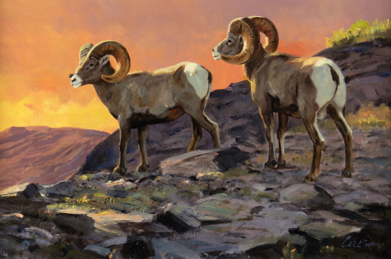 Ken Carlson, Bighorn Sheep at Dusk: Ken Carlson b.1937 Bighorn Sheep at Dusk oil on board signed lower right: CARLSON 12 x 18 in., Frame: 18 3/4 x 24 7/8 x 2 in. Provenance: From a Private Collection