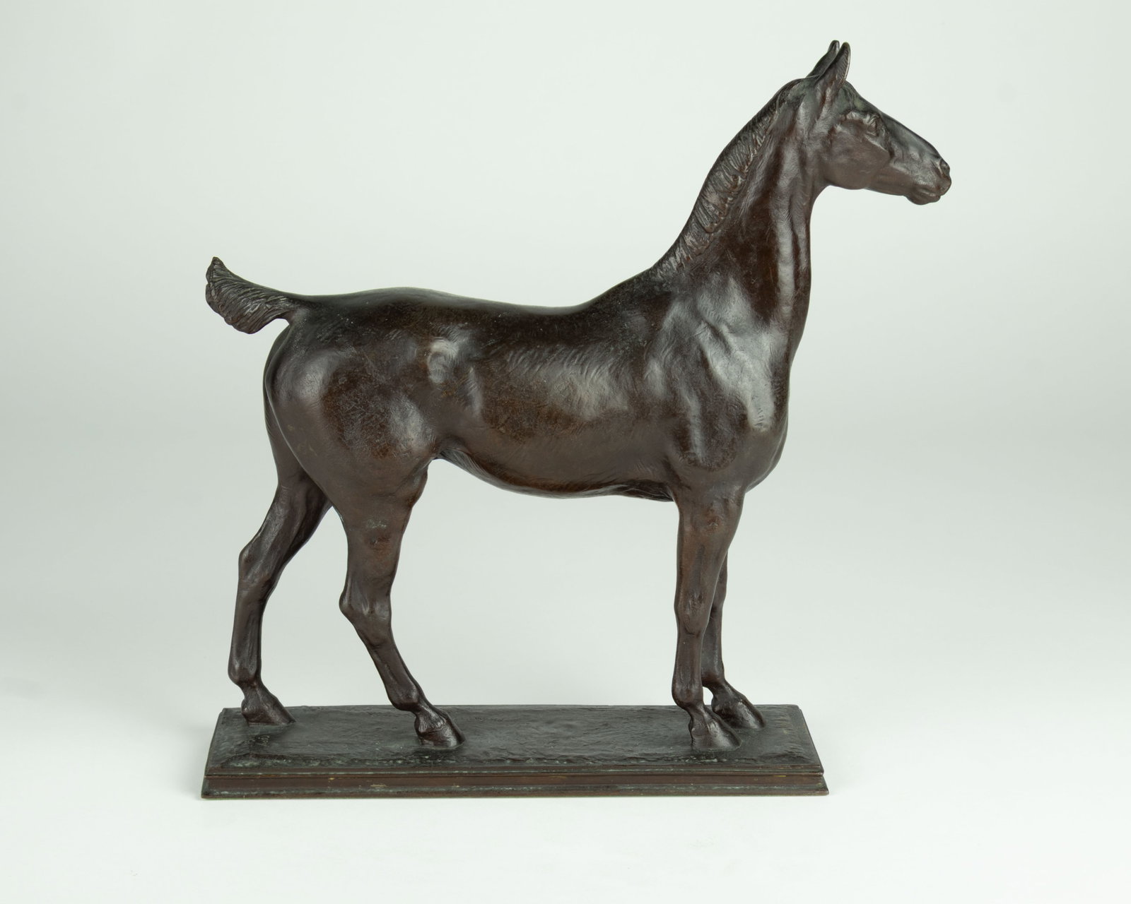Alexander Phimister Proctor, American Horse, 1899: Alexander Phimister Proctor 1862-1950 American Horse, 1895 bronze inscribed: PHIMISTER PROCTOR 1899 COPY RIGHT stamped: GORHAM CO FOUNDERS QRC modeled in 1895 cast c. 1913 11 7/8 x 11 3/4 x