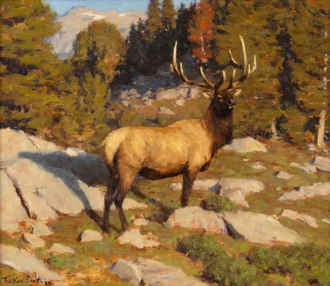 Tucker Smith, Elk, 1989: Tucker Smith b.1940 Elk, 1989 oil on canvas signed and dated lower left: Tucker Smith 89 10 x 12 in., Frame: 14 1/2 x 16 3/8 x 2 1/4 in. Provenance: Private Collection Jackson Hole Art Auction,