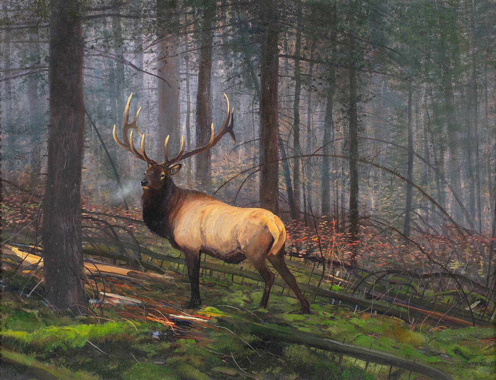 Michael Coleman, Elk: Michael Coleman b.1946 Elk oil on board signed lower right: MICHAEL COLEMAN - © 30 x 40 in.; Frame: 40 1/2 x 50 1/4 x 3 1/4 in. Provenance: From a Private Collection