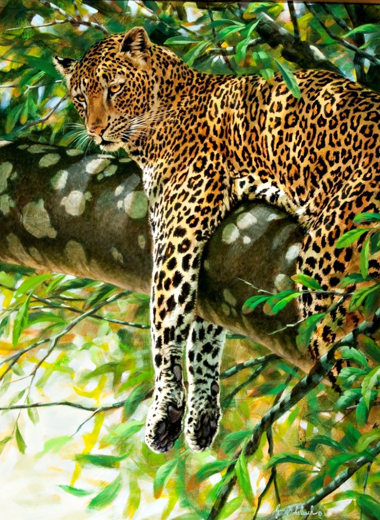 Pensive: Coheleach, Guy, (1933- ), 40 x 30 inches, oil on canvas, signed lower right