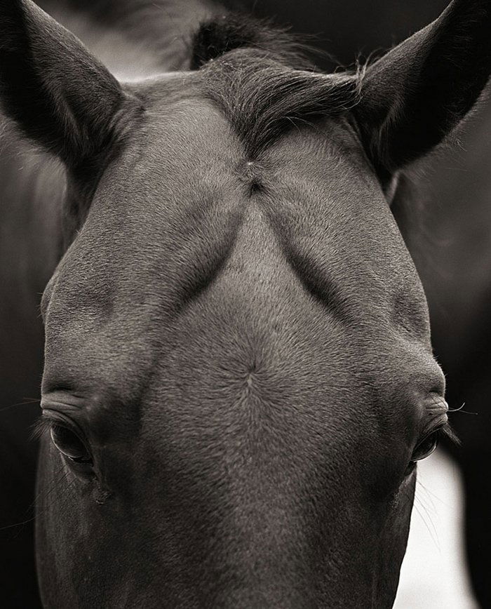 Bay by Jay Dusard (1 of 1)