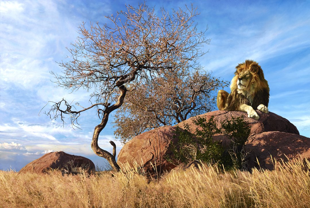 Master of his Domain by Bruce Lawes: Lawes, Bruce, oil on canvas, 2015, 32 x 48