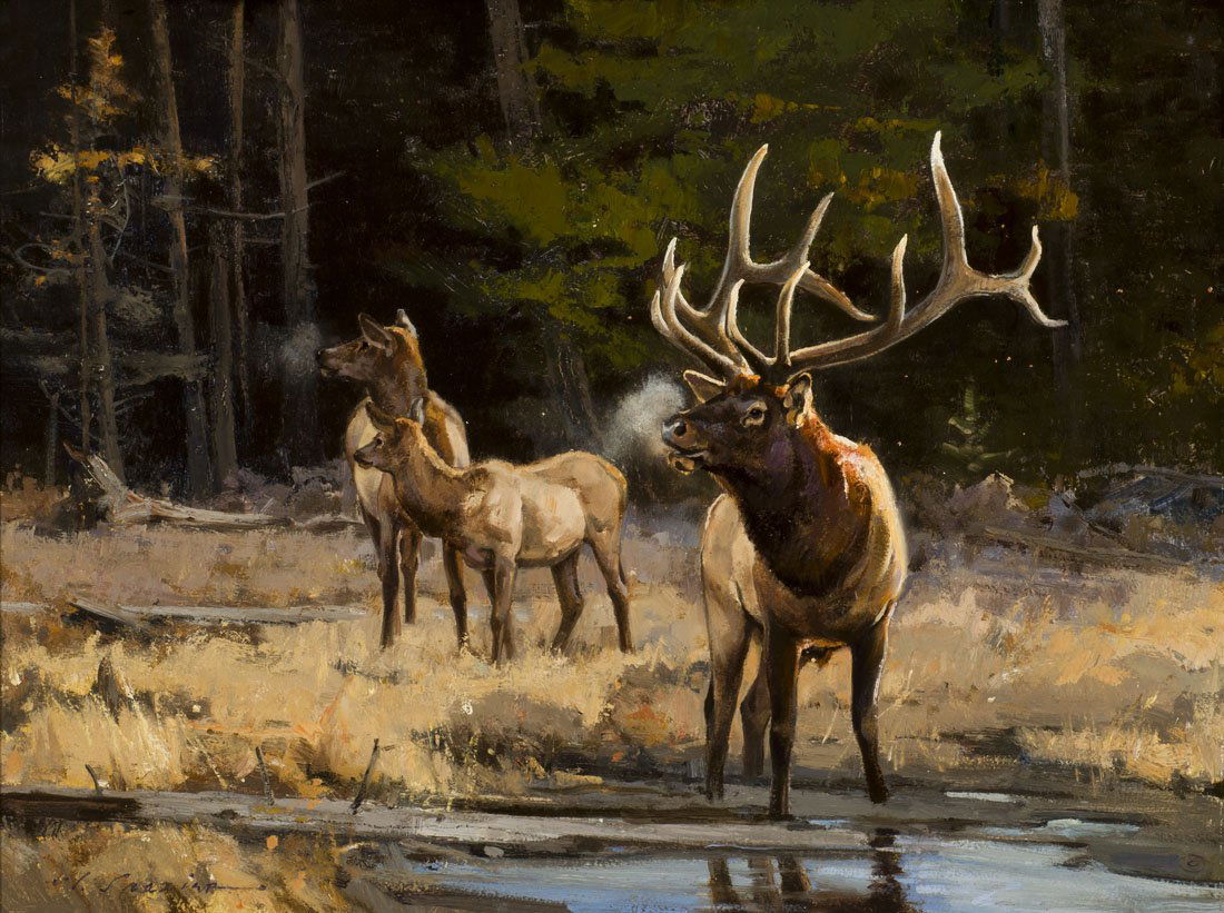 Forest Sounds by Luke Frazier (1 of 2)