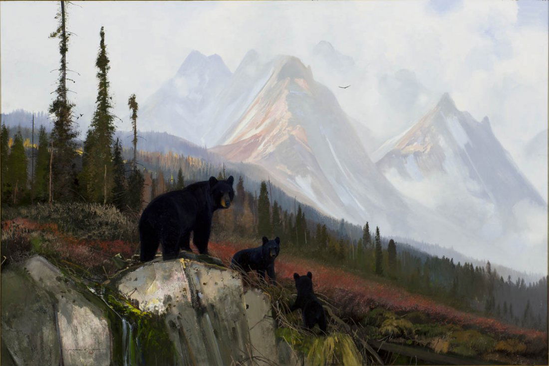 Three Black Bears by Michael Coleman: Coleman, Michael, oil on board, 24 x 36
