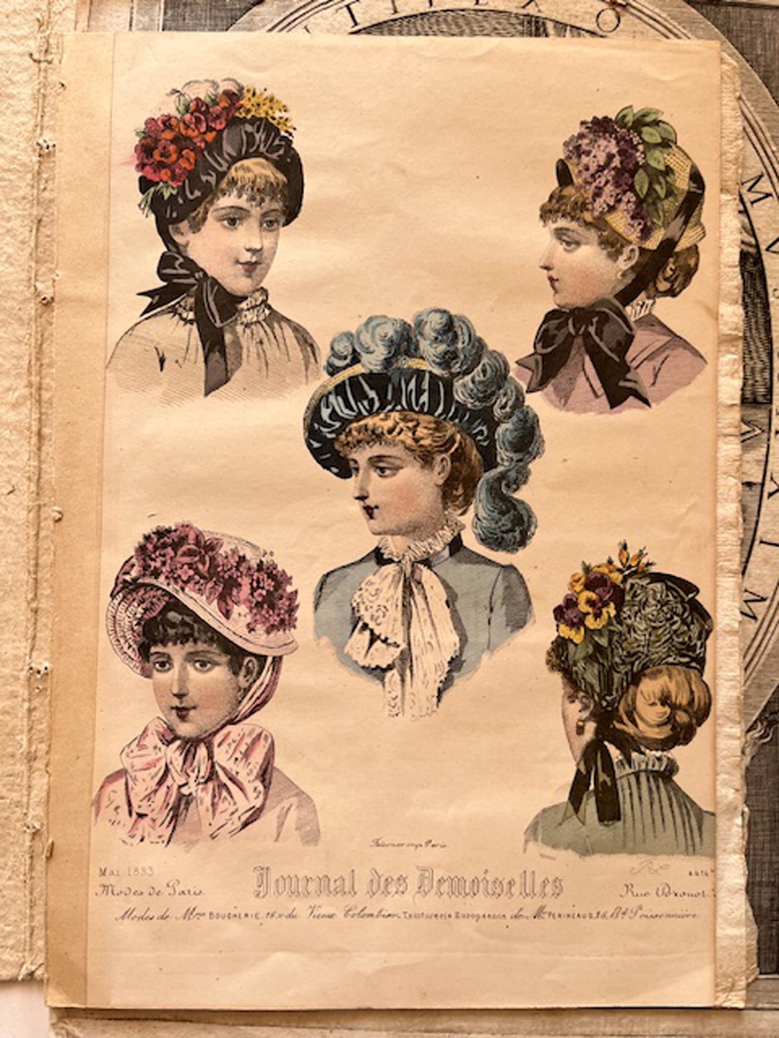 ART - Album of 44 Prints Fashion, Natural History, Battles More 17th19th c.: An ensemble of 44 prints, mostly copper-engravings, with some litographies, various subjects fashion, Journal des Demoiselles, natural history, portraits, two catafalques, a plan of a battle near Heid