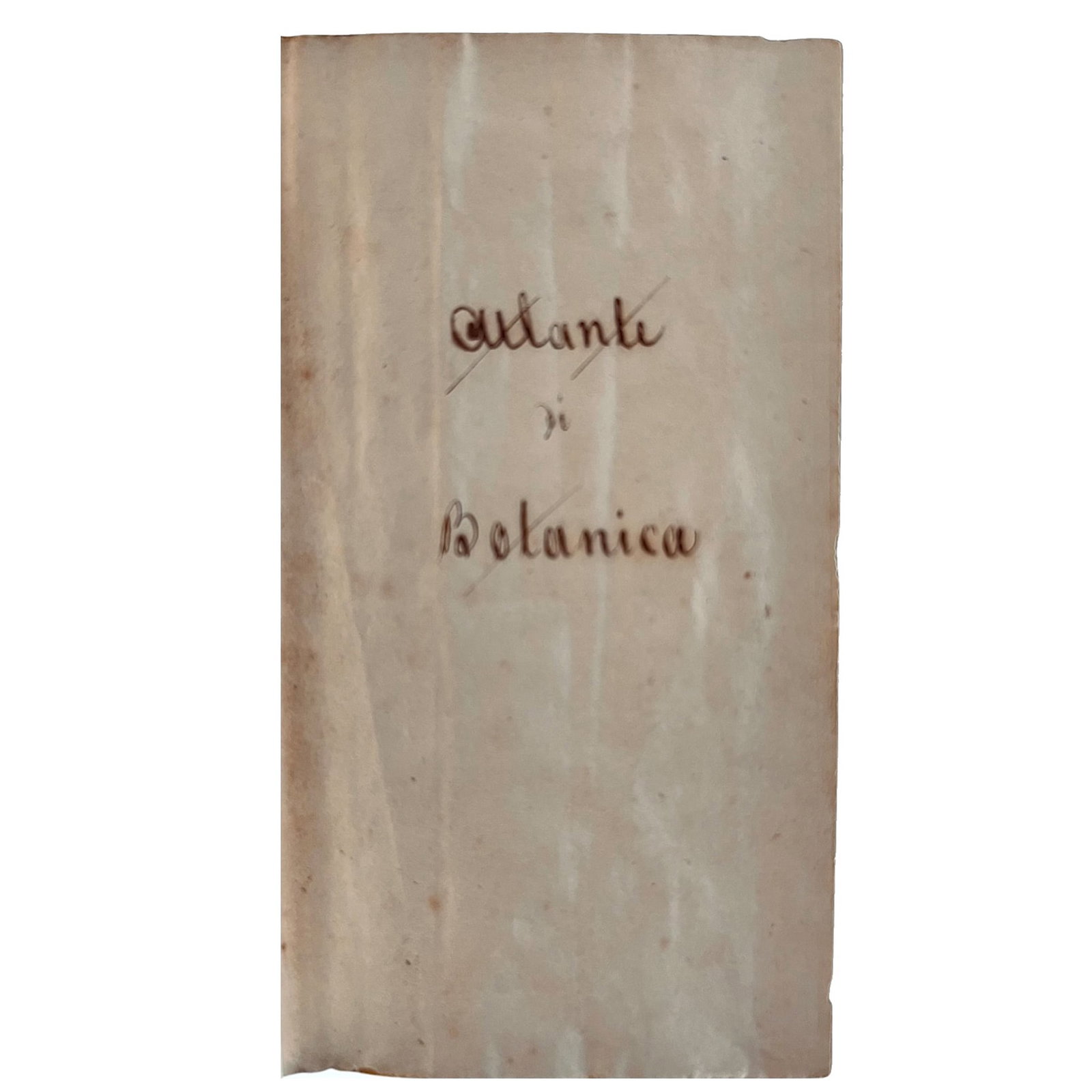 [SCIENCE AND MEDICINE] - ANONYMOUS - [Botanical Science]: “Atlante di Botanica” A comprehensive and delightful botanical manuscript from the early 19th century, illustrated with 252 watercolors, divided into classes, depicting plants and trees de