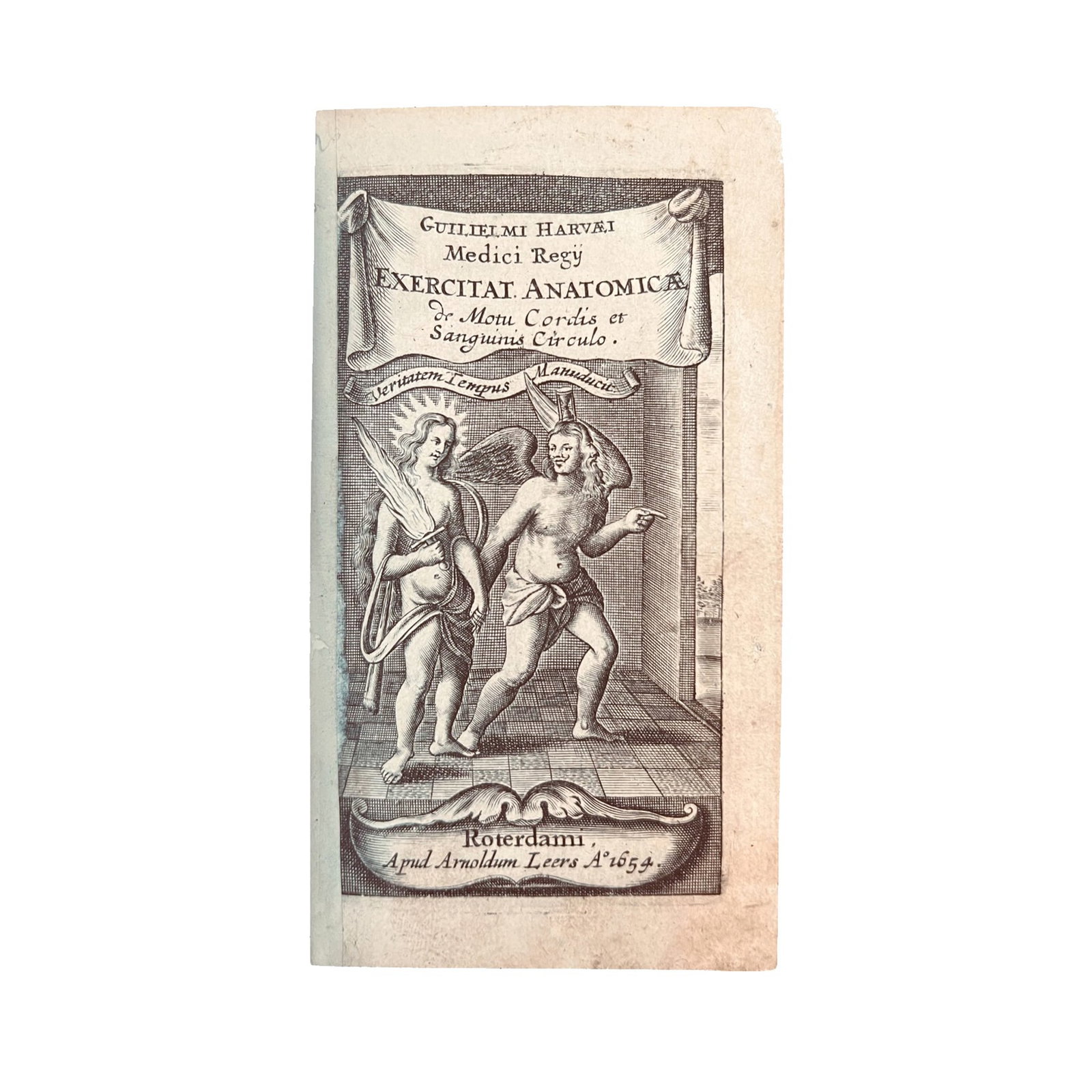 [SCIENCE AND MEDICINE] - HARVEY William (1578 - 1657) - [History Of Medicine – William: “Guilielmi Harveji (…) Exercitationes anatomicae, De motu Cordis et Sanguinis Circulatione. Cum duplici Indice Capitum et rerum. Accessit, Dissertatio de Corde Doct. Jacobi de Back.”