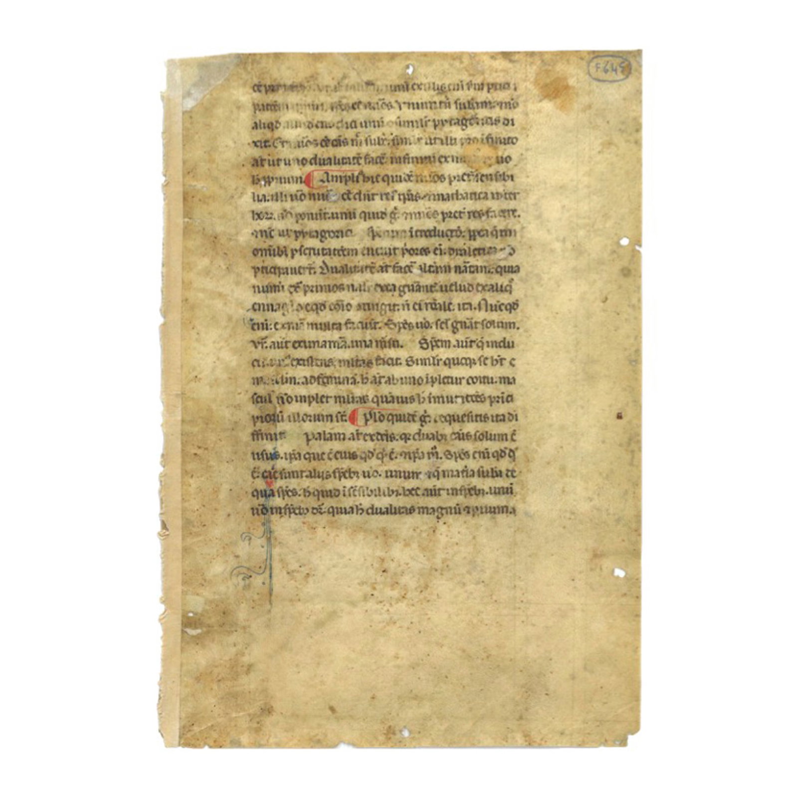 [LITERATURE] - ARISTOTLE - [Scholastic Philosophy – Aristotle’s Metaphysics –: Metaphysics (manuscript fragment) France (probable), 13th century. Parchment leaf, c. 250 x 170 mm (writing space c. 158 x 95 mm). Text in Gothic script in a single column of 24 lines. Decoration incl