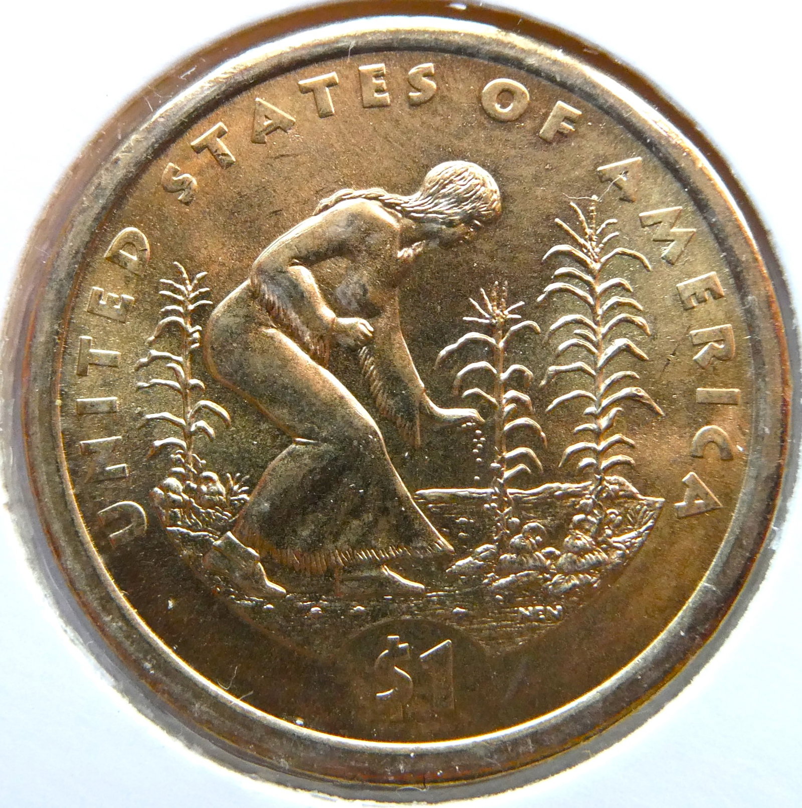 2009 Sacagawea Dollar ~ Native American ~: CountryUSADenomination1 dollarYear 2009Subject Planting CropsPeriod United States of America (1981 - 2023)Coin typeCommemorative coinsSeries Native AmericanCompositionManganese-Brass plated CopperEdge