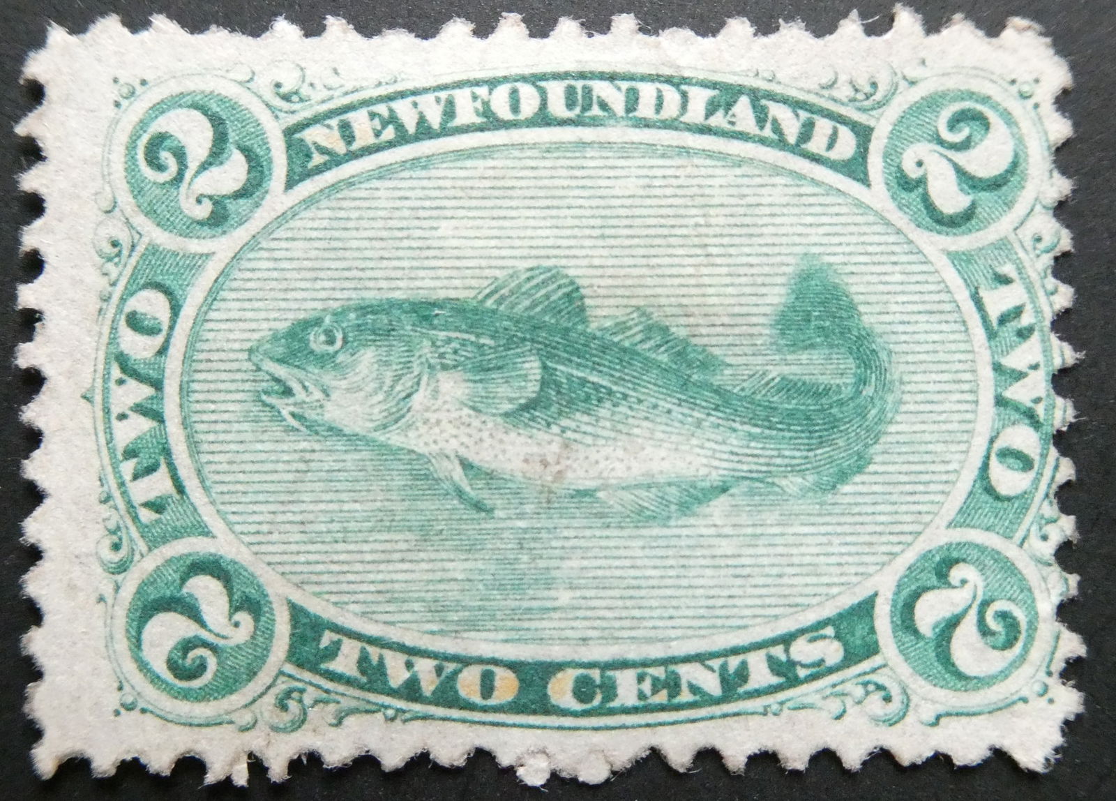 Canadian Antique NFLD 1865 Cod Fish scott # 24 Unused MNH (1 of 2)