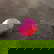 item-210566596=3