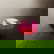 item-210566596=8