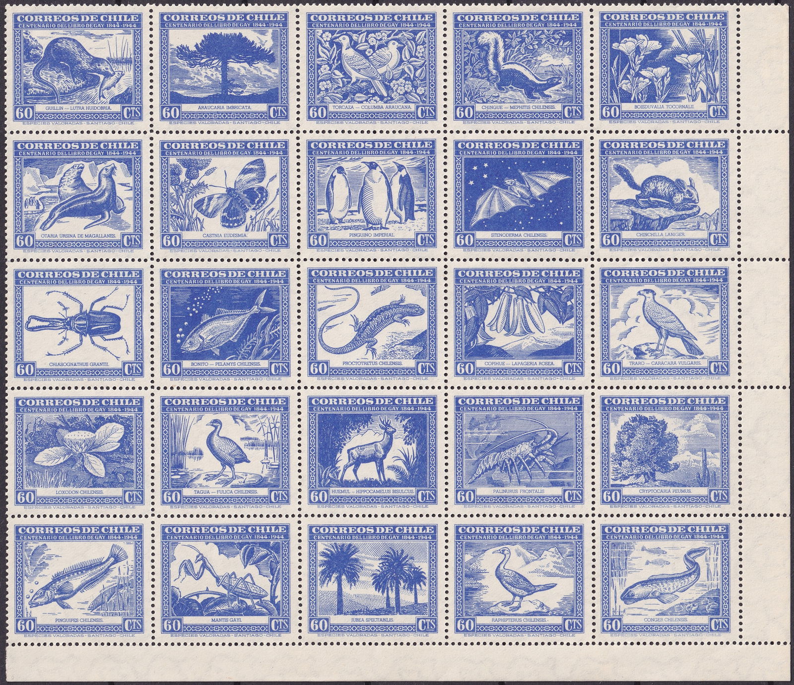 Chile 1945 Claudio Gay Centennial 60c Full Sheet MNH, Flora & Fauna Scott 254 (1 of 2)