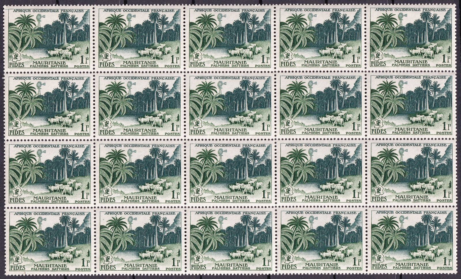 French West Africa 1956 Scott 65 1Fr FIDES Mauritania Sheet MNH: French West Africa 1956 commemorative issue 1 franc dark green stamp Scott 65 corresponding to Michel FR WA 74 Yvert 54 and Stanley Gibbons 85 printed in recess intaglio perforation comb 13 complete s
