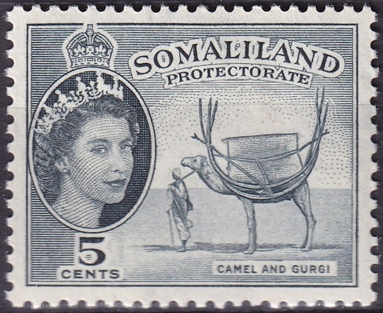 1953 British Somaliland 5c Camel and Gurgi (Scott 128): This finely engraved 5-cent definitive from the British Somaliland Protectorate, issued on 15 September 1953, features a distinguished portrait of Queen Elizabeth II paired with a culturally significa