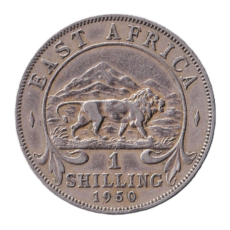 East Africa 1950 George VI 1 Shilling KM31 Lion Reverse: This copper-nickel 1 Shilling coin was issued for circulation in British East Africa during the reign of King George VI and dated 1950, forming part of the long-running regional coinage series struck 