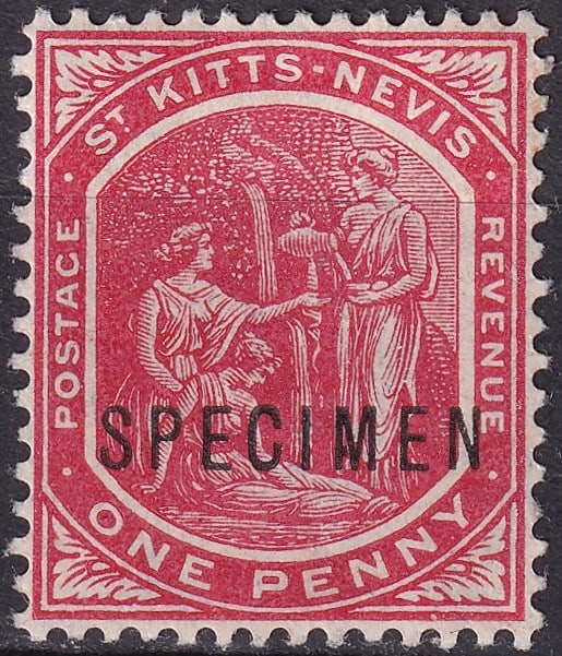 British Commonwealth 1916 St. Kitts & Nevis Scott 14a 1d SPECIMEN (1 of 2)