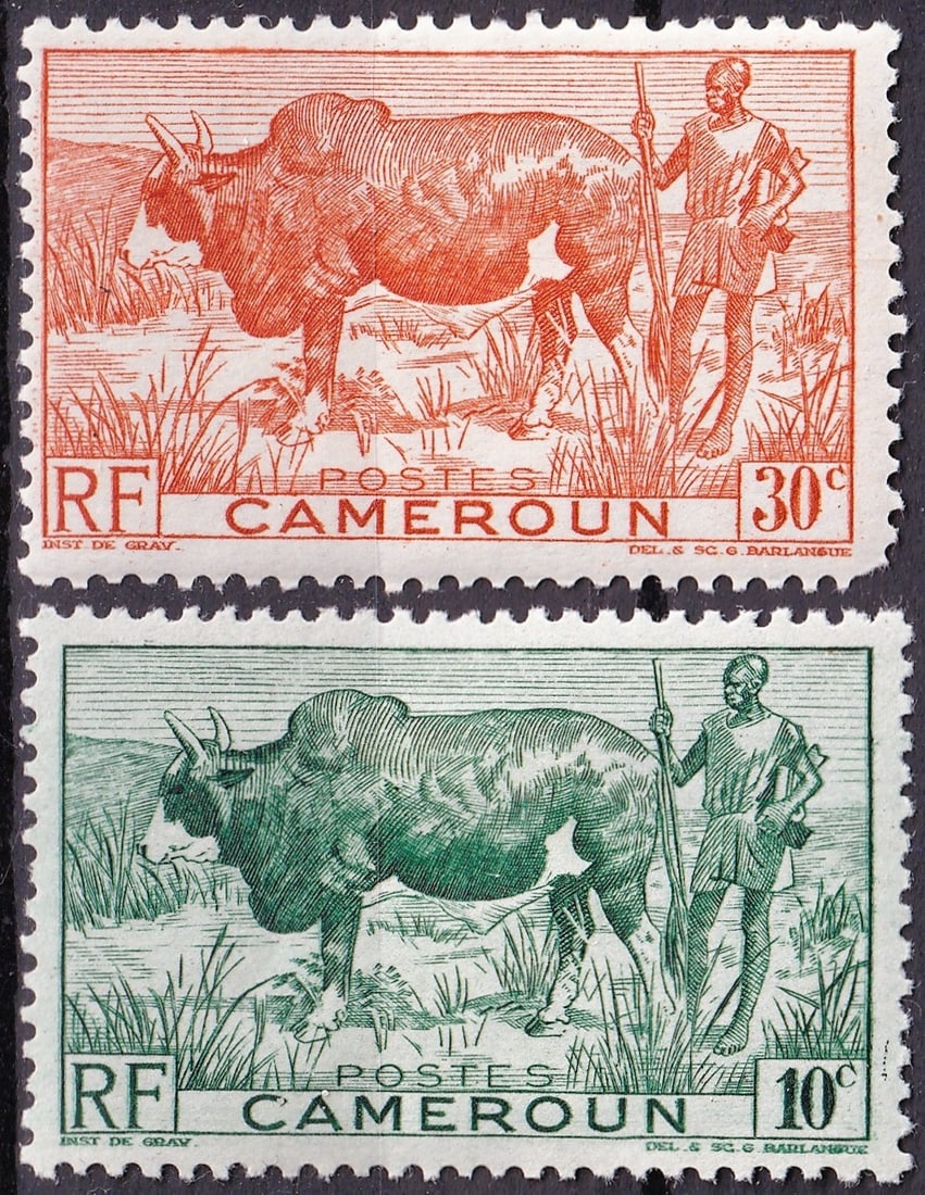 1946 Cameroon Scott 304-305 Native Images Zebu Herdsman MNH Pair: 1946 Cameroon Native Images definitive issue consisting of the 10 centimes green and 30 centimes brown-orange values depicting a Zebu (Bos primigenius indicus) with a traditional herdsman, one of the 