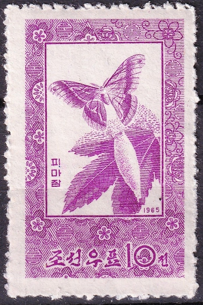 1965 North Korea Scott 640 Butterfly Ailanthus Silkmoth MNH: 1965 North Korea Butterfly commemorative issue featuring the Ailanthus Silkmoth (Samia cynthia), one of the most attractive engraved insect stamps produced by the Democratic People's Republic of Korea