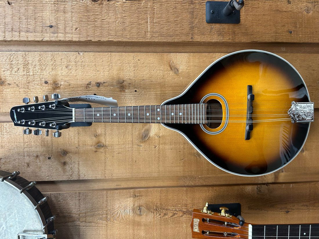 Savannah SA-110 (1 of 3)