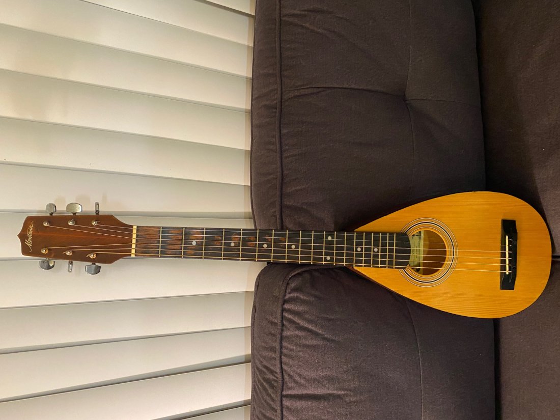 Montana MTG-1 Backpacker: This a perfect travel companion for any guitarist. It’s small enough to fit almost anywhere and plays with great feel. This is a campfires best friend.