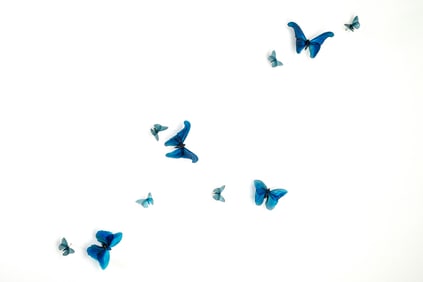 Alli Hoag "Aerial Vistas-Gulfstream"