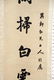 Two Chinese Calligraphy Scrolls - 2