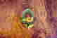 item-64355663=3