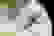 item-69677345=2